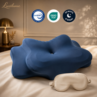 Oreiller Luxilume 3.0