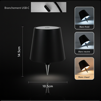 Lampe LED sans fil/ bouchon pour bouteilles